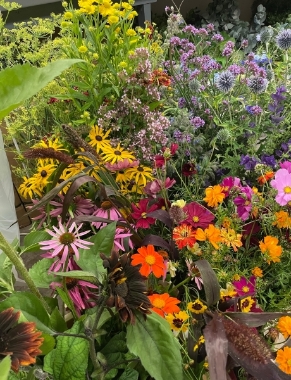 Locally Grown